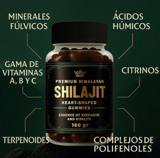 GOMAS SHILAJIT x 180g