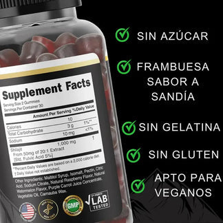 GOMAS SHILAJIT x 180g