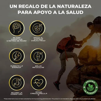 GOMAS SHILAJIT x 180g